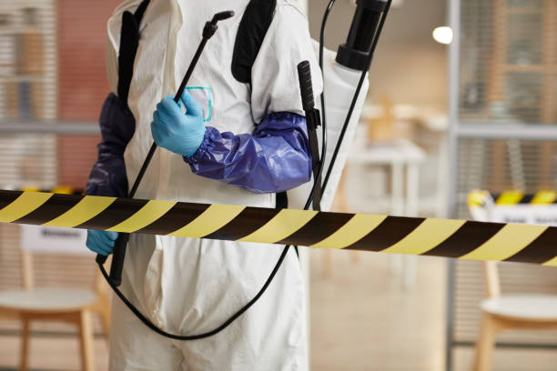 Professional Hoarding Cleanup technician working in Island Park, NY
